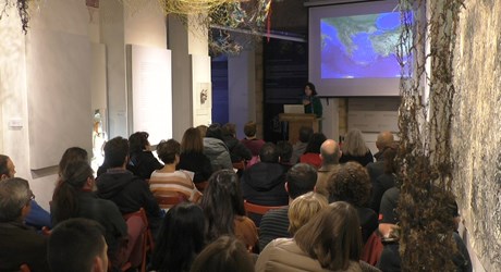 Φύκια, φυκιάδες και απέραντο γαλάζιο Φύκια, φυκιάδες και απέραντο γαλάζιο