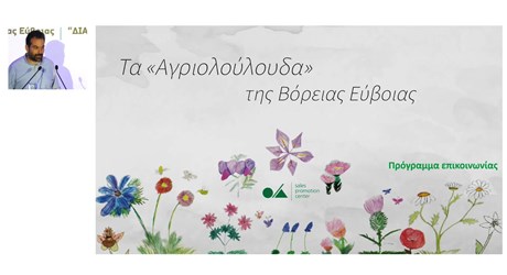 Πρόγραμμα προβολής: Τα αγριολούλουδα της Βόρειας Εύβοιας Πρόγραμμα προβολής: Τα αγριολούλουδα της Βόρειας Εύβοιας