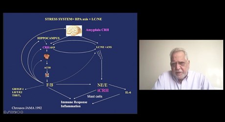 Stress, Inflammation and Sleep Stress, Inflammation and Sleep