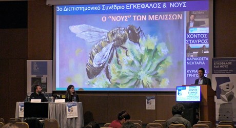 Ο «νους» των μελισσών Ο «νους» των μελισσών