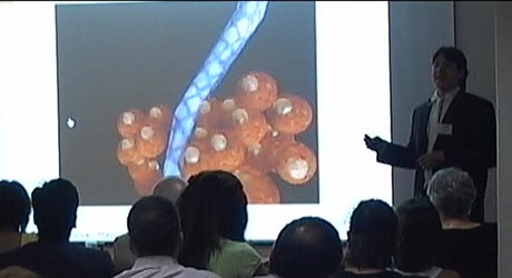 Normalizing the micro-environment of solid tumors to improve perfusion and drug delivery Normalizing the micro-environment of solid tumors to improve perfusion and drug delivery