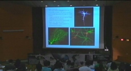 Δίκτυα νευρώνων στον εγκέφαλο: Από τα δεδομένα MRI & f - MRI σε φαινόμενα συγχρονισμού Δίκτυα νευρώνων στον εγκέφαλο: Από τα δεδομένα MRI & f - MRI σε φαινόμενα συγχρονισμού