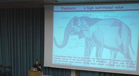 Hominins and Elephants in the Pleistocene: a Lesson from the Mediterranean Hominins and Elephants in the Pleistocene: a Lesson from the Mediterranean
